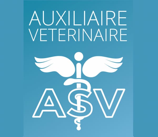 Texte blanc "AUXILIAIRE VETERINAIRE" et logo ASV stylisé avec caducée ailé en blanc sur un fond bleu dégradé.