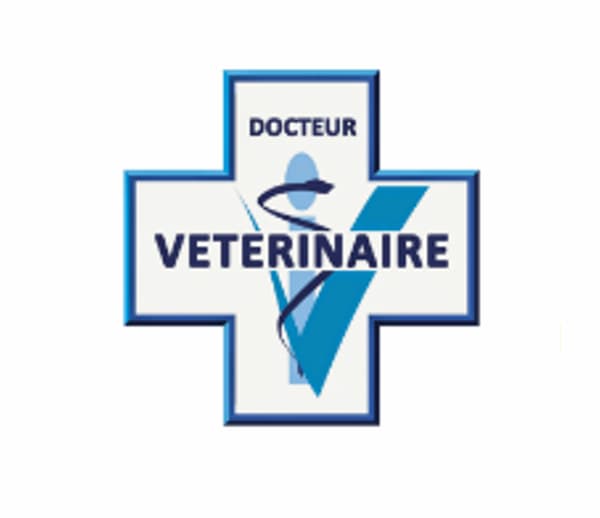 Logo Docteur Vétérinaire : croix bleue et blanche avec formes stylisées symbolisant santé animale et expertise médicale.