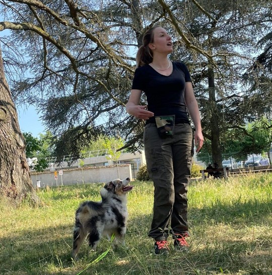 Femme en t-shirt noir et pantalon cargo gesticule vers son Berger Australien merle attentif. Scène de dressage en parc sous le soleil.